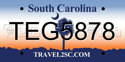 TEG5878 South Carolina License Plate