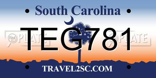 TEG781 South Carolina License Plate