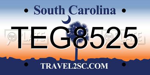 TEG8525 South Carolina License Plate