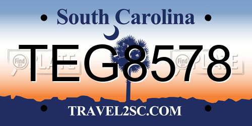 TEG8578 South Carolina License Plate