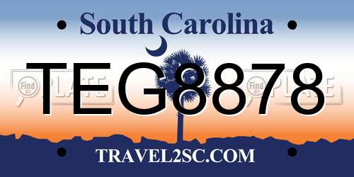 TEG8878 South Carolina License Plate