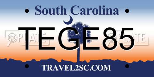 TEGE85 South Carolina License Plate