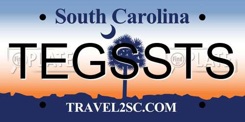 TEGSSTS South Carolina License Plate