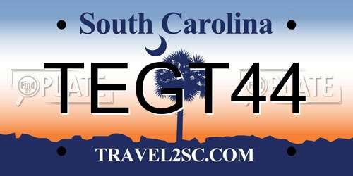 TEGT44 South Carolina License Plate