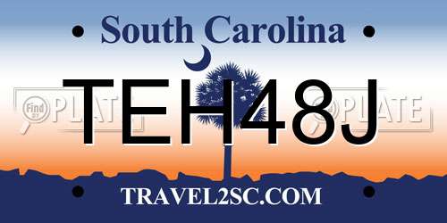 TEH48J South Carolina License Plate