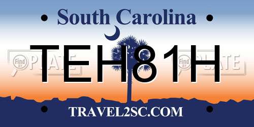 TEH81H South Carolina License Plate