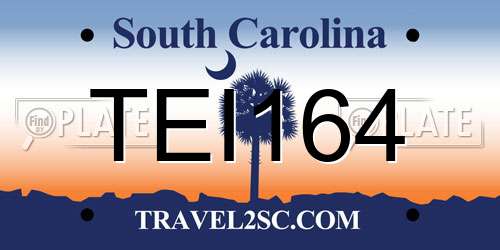 TEI164 South Carolina License Plate