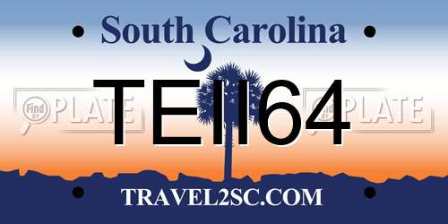 TEII64 South Carolina License Plate