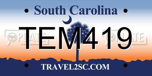 TEM419 South Carolina License Plate