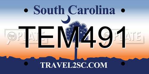 TEM491 South Carolina License Plate