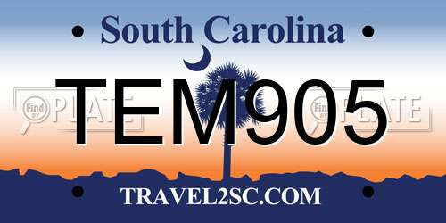 TEM905 South Carolina License Plate