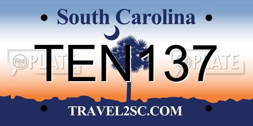 TEN137 South Carolina License Plate