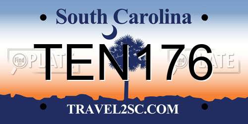 TEN176 South Carolina License Plate