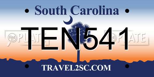 TEN541 South Carolina License Plate