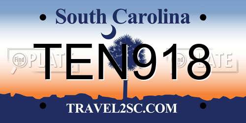 TEN918 South Carolina License Plate