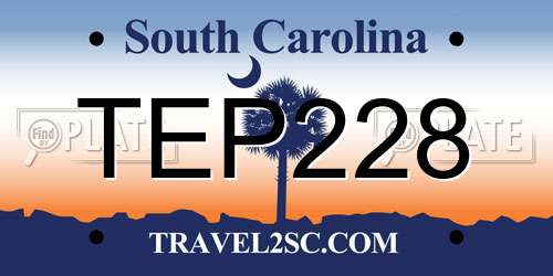 TEP228 South Carolina License Plate