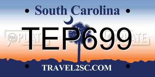TEP699 South Carolina License Plate