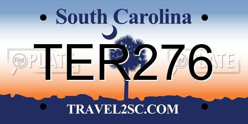 TER276 South Carolina License Plate
