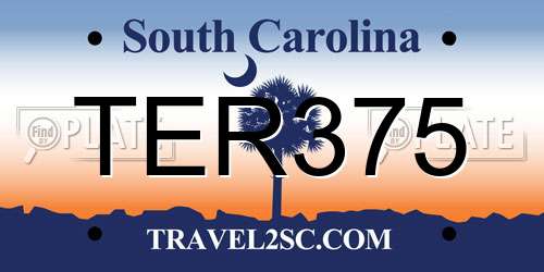 TER375 South Carolina License Plate