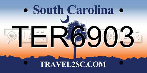 TER6903 South Carolina License Plate