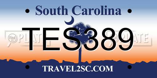 TES389 South Carolina License Plate