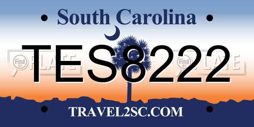 TES8222 South Carolina License Plate
