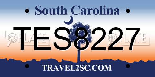 TES8227 South Carolina License Plate