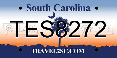 TES8272 South Carolina License Plate
