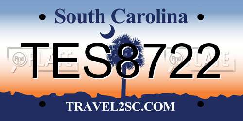TES8722 South Carolina License Plate