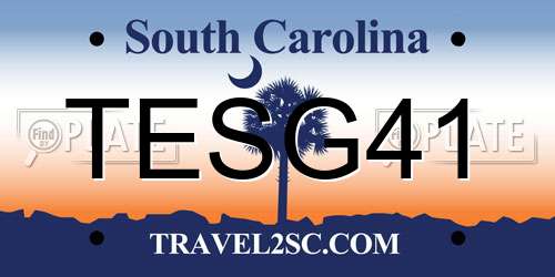 TESG41 South Carolina License Plate