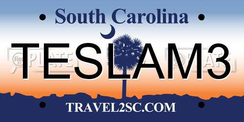 TESLAM3 South Carolina License Plate