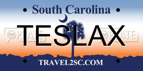TESLAX South Carolina License Plate
