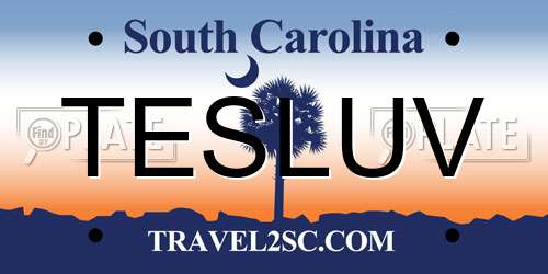 TESLUV South Carolina License Plate