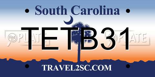 TETB31 South Carolina License Plate