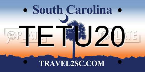 TETU20 South Carolina License Plate