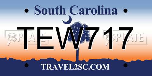 TEW717 South Carolina License Plate