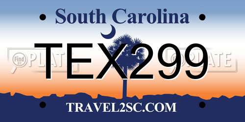 TEX299 South Carolina License Plate