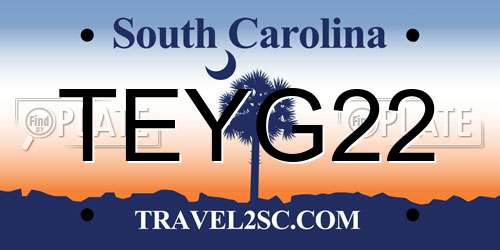 TEYG22 South Carolina License Plate