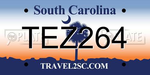 TEZ264 South Carolina License Plate