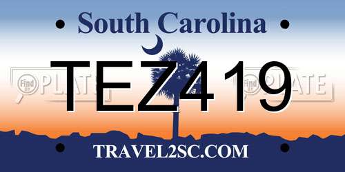 TEZ419 South Carolina License Plate