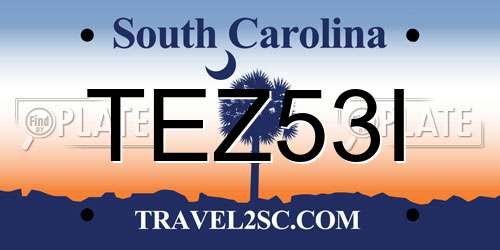 TEZ53I South Carolina License Plate