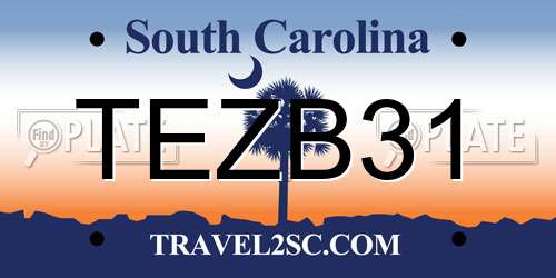 TEZB31 South Carolina License Plate