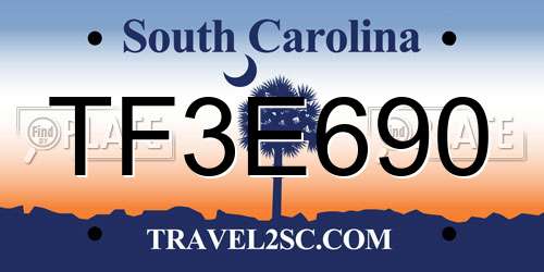 TF3E690 South Carolina License Plate