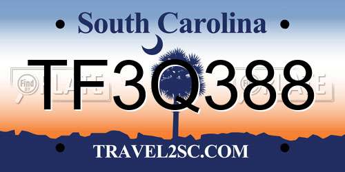 TF3Q388 South Carolina License Plate