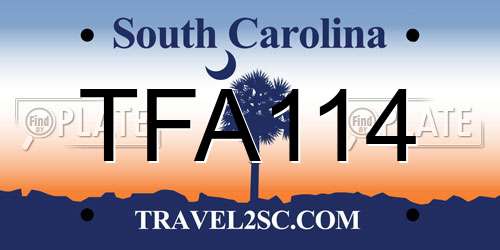 TFA114 South Carolina License Plate