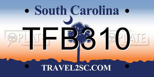 TFB310 South Carolina License Plate