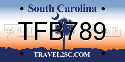 TFB789 South Carolina License Plate