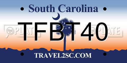 TFBT40 South Carolina License Plate