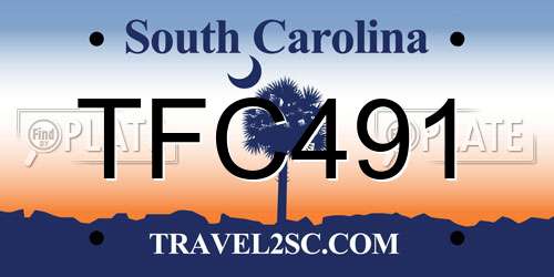 TFC491 South Carolina License Plate