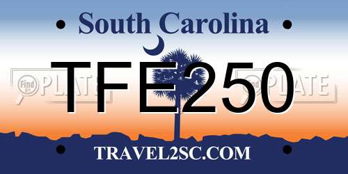 TFE250 South Carolina License Plate